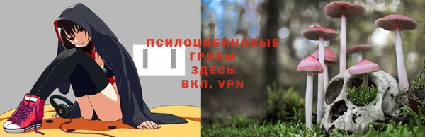 ALPHA PVP Беломорск